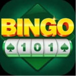 Bingo 101