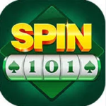 Spin 101